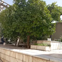 ملک مسکونی با ۴مغازه تجاری ۳نبش دربهترین منطقه