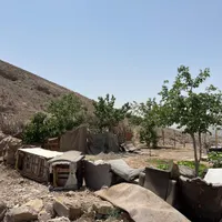 یک قطعه زمین به متراژ ۳۵۰متر در مسگراباد|فروش زمین و ملک کلنگی|تهران, مسگرآباد|دیوار
