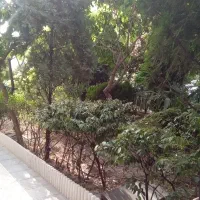 آپارتمان۷۸متری دوخوابه فاز۳ پردیسان