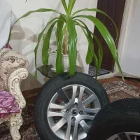 روفرشی.ر ی نگ صلیبی