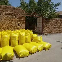 جومحلی|عمدهفروشی|الشتر, |دیوار