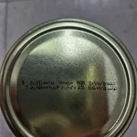 رب شیشه ای  شیلتون