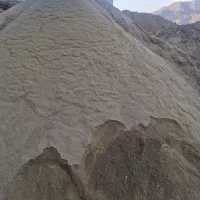 تفاله هسته زیتون پودر شده درجه یک