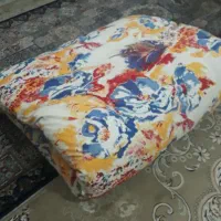۲ عدد تشک از پشم