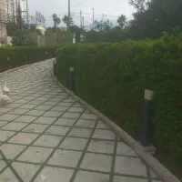 باغبانی ، هرس درختان ، علف تراشی ،