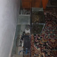 آکواریوم‌لوازم نگهداری ماهی