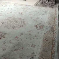 دوعدد قالی 12متری