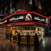 سلف کاروفر کار فلافلی