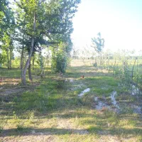 زمین-مسکونی-402متر-مالفجان-سیاهکل