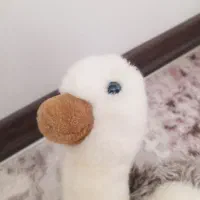 عروسک