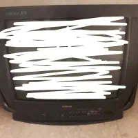 تلویزیون