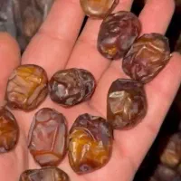 خرما مرداسنگ و خاصوبی