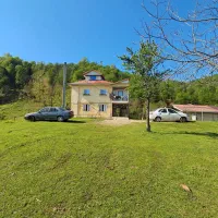 اجاره ویلا جنگلی کناررودخانه