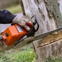 اجرای کلیه خدمات باغچه هرس،علف زنی بیل زنی
