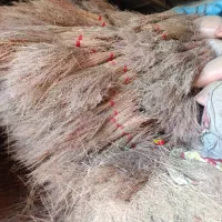 جارو|لوازم نظافت|ملارد, |دیوار