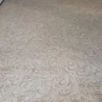 پالاز موکت در حد نو  ۴۰ متر