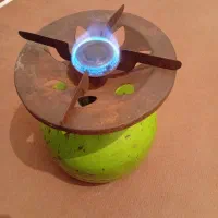 پیک نیک سالم