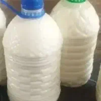 دوغ فقط میش