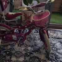 دوچرخه دخترانه نونو قیمت استثنایی
