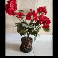 وسیله|کلکسیون و سرگرمی|زنجان, |دیوار