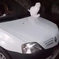 ال ۹۰ مدل ۹۶