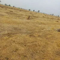 پرس کاه