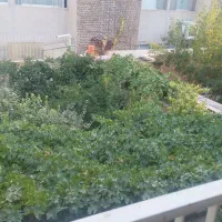 ویلایی-500-متــری-اوایل-امامت-نزدیـک-پارک-ملت