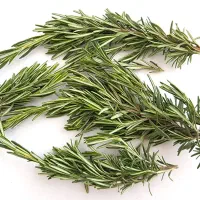 رزماری تازه