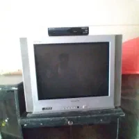 تلویزیون