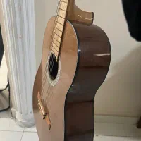 گیتار کلاسیک حرفه ای