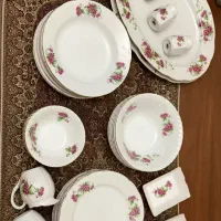 ۶ نفره