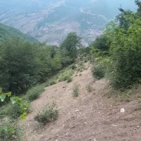 زمین ویو ابدی ( اطراف مرزن آباد )