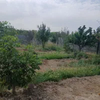 باغچه-500-متری-و-1000متری