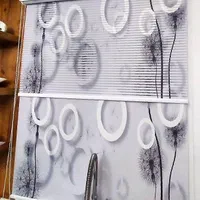 زبرا دومکانیزم