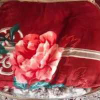پتودونفره نونوهستش