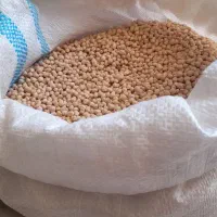 فروش نخود محلی پزو ب شرط