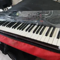 ارگpax4