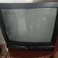 تلویزیون