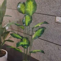 گل میلان|گل مصنوعی|ارومیه, |دیوار