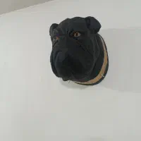 اکسسوری به قیمت عمده