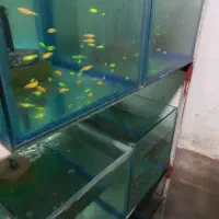 شیشه آکواریم بساط