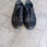 کفش کار سالم