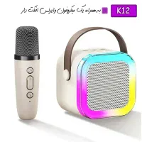 اسپیکر کا ۱۲ همراه میکروفون بصورت خرد و عمده