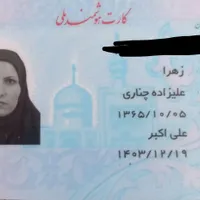 پیدا شده