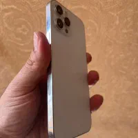 Iphone 12promax
