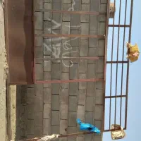 درب مغازه