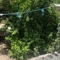 فروش خانه ویلای کهوریه کنار بهداشت