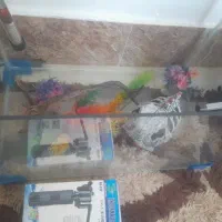 اکواریم شیشه خم