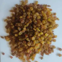 کشمش درجه یک و صادراتی(فروش عمده)