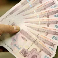 کار برای بانوان اتباع
